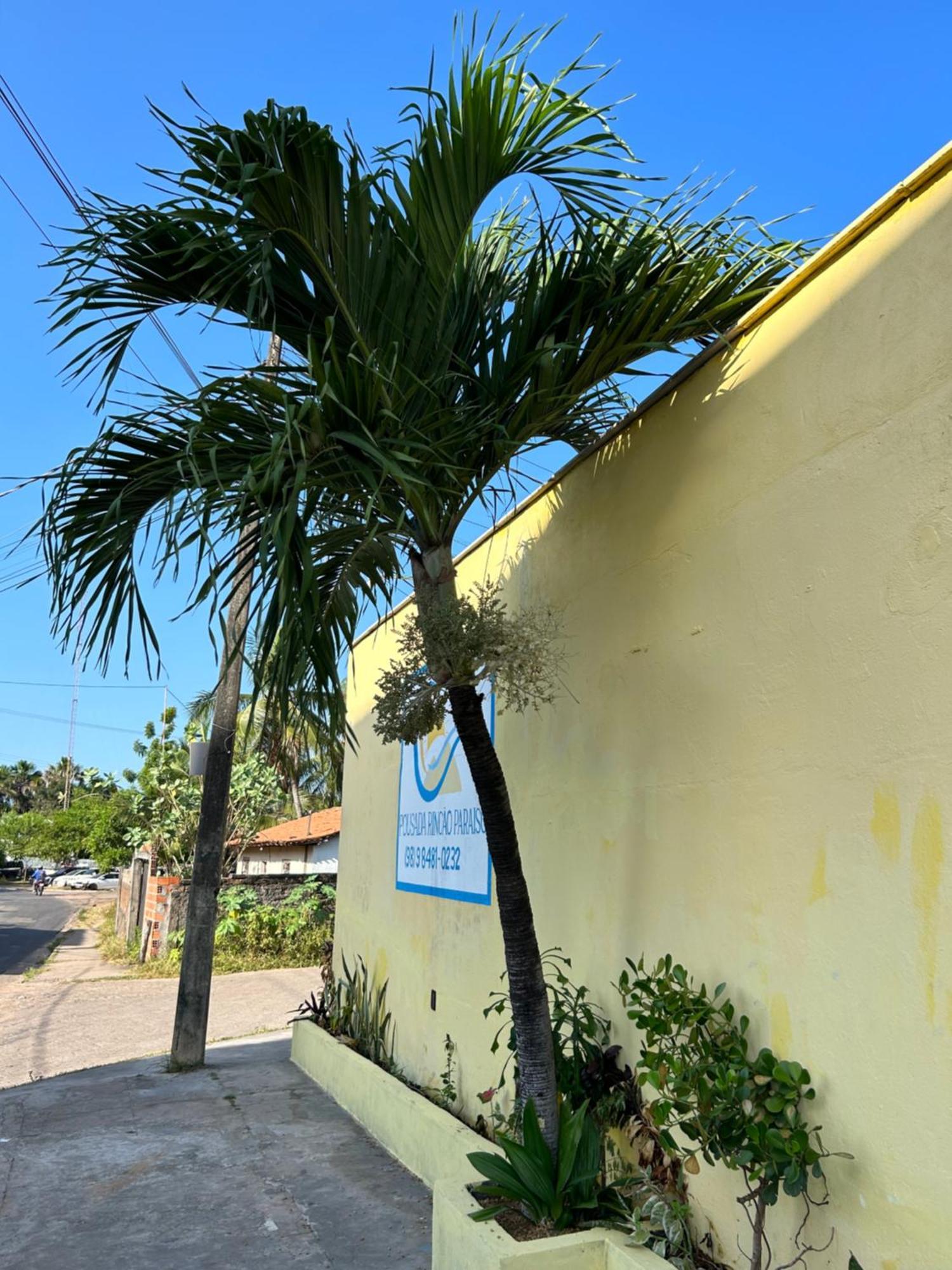Pousada Rincao Paraiso Barreirinhas Exterior photo